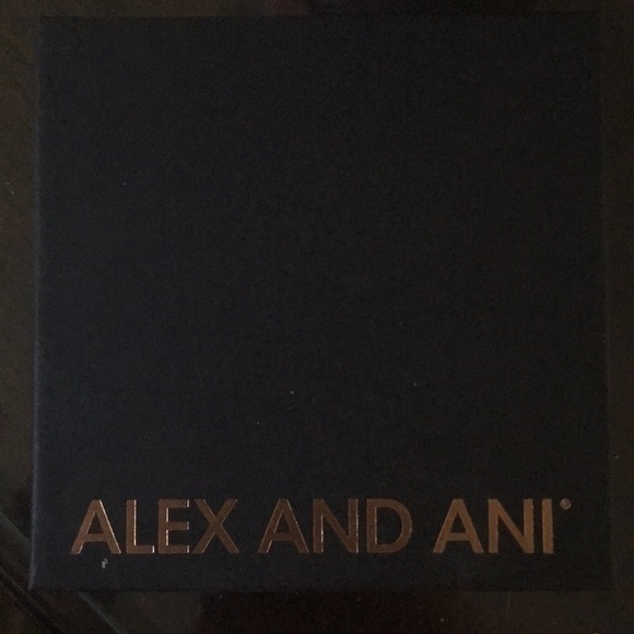 Alex and Ani Boston Bracelet - Picture 4 of 4